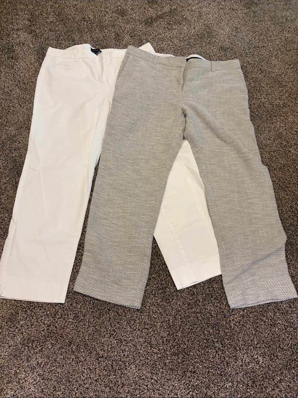 Ann Taylor Two-Pair Women's Ankle Dress Pants - White & Black/White Micro-Patter